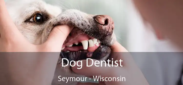 Dog Dentist Seymour - Wisconsin