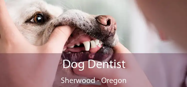Dog Dentist Sherwood - Oregon