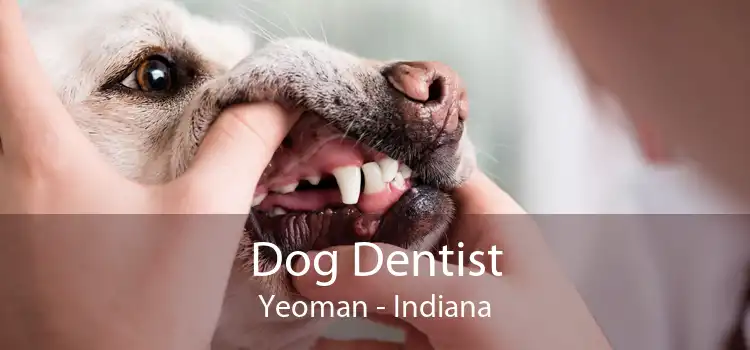 Dog Dentist Yeoman - Indiana