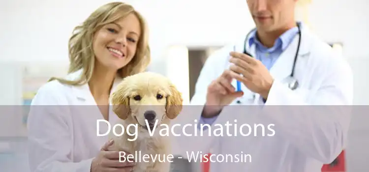 Dog Vaccinations Bellevue - Wisconsin