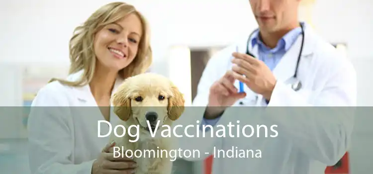 Dog Vaccinations Bloomington - Indiana