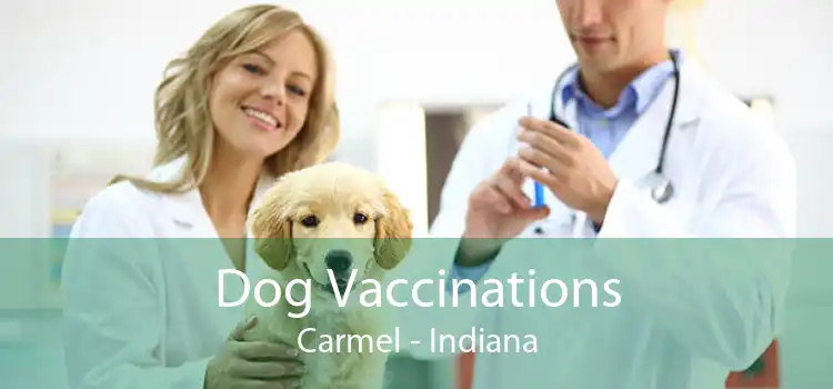 Dog Vaccinations Carmel - Indiana