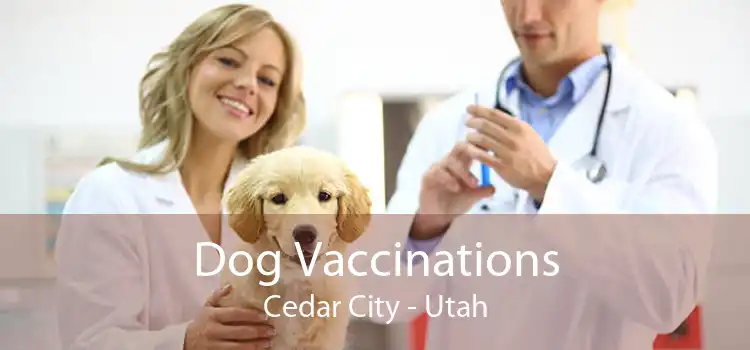 Dog Vaccinations Cedar City - Utah