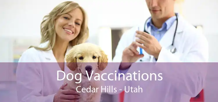 Dog Vaccinations Cedar Hills - Utah