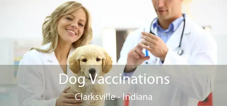 Dog Vaccinations Clarksville - Indiana
