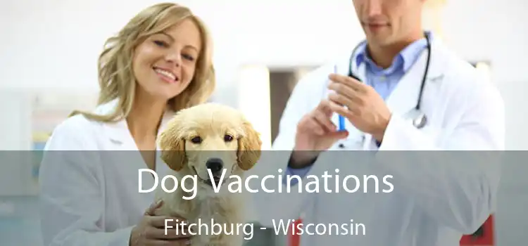 Dog Vaccinations Fitchburg - Wisconsin