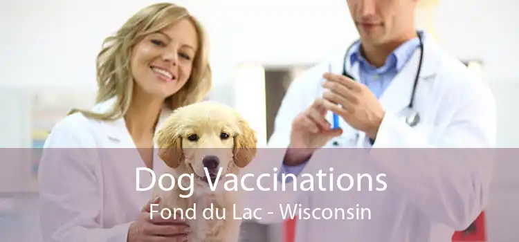 Dog Vaccinations Fond du Lac - Wisconsin