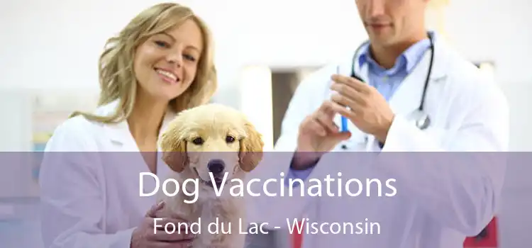 Dog Vaccinations Fond du Lac - Wisconsin