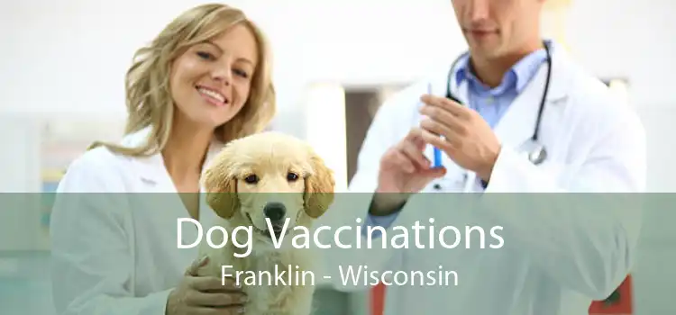 Dog Vaccinations Franklin - Wisconsin