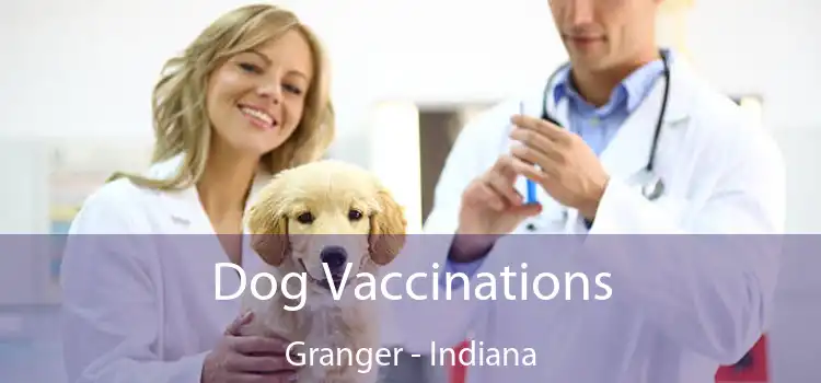 Dog Vaccinations Granger - Indiana