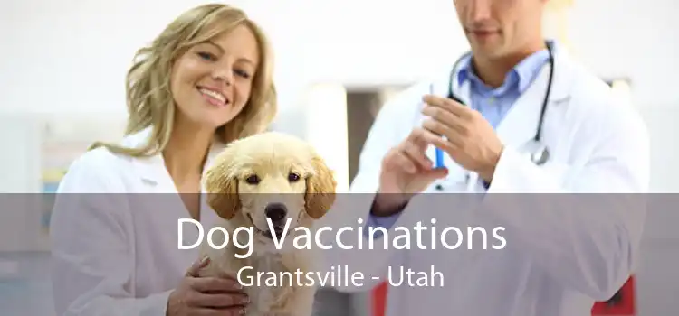 Dog Vaccinations Grantsville - Utah