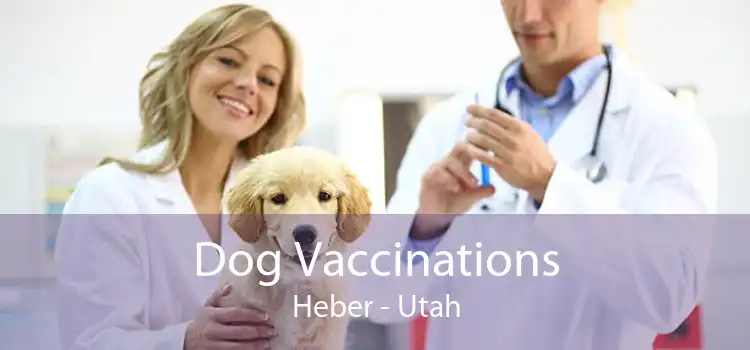 Dog Vaccinations Heber - Utah