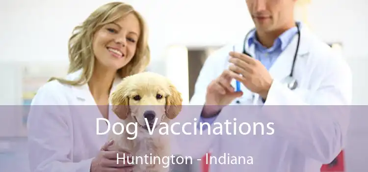 Dog Vaccinations Huntington - Indiana