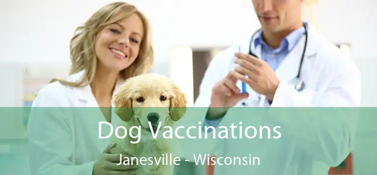 Dog Vaccinations Janesville - Wisconsin