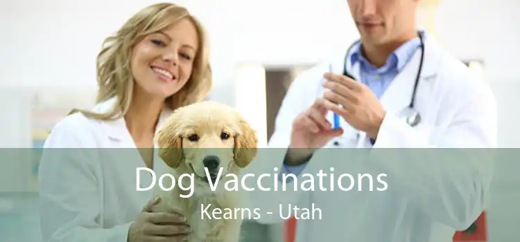 Dog Vaccinations Kearns - Utah