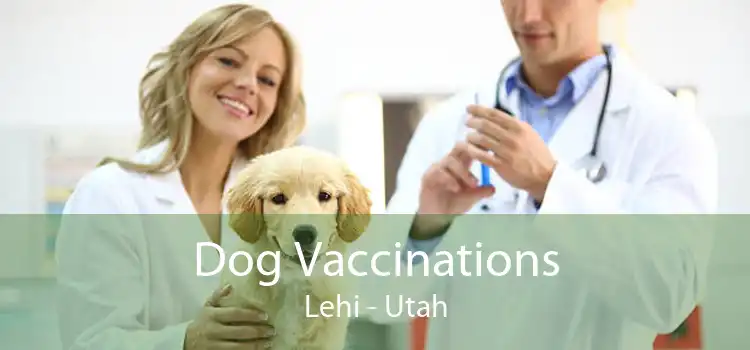 Dog Vaccinations Lehi - Utah