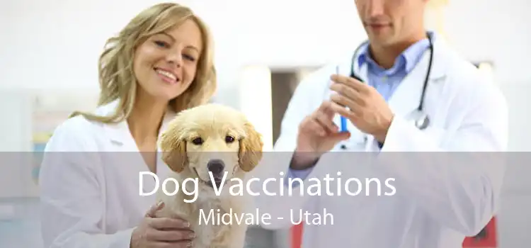 Dog Vaccinations Midvale - Utah