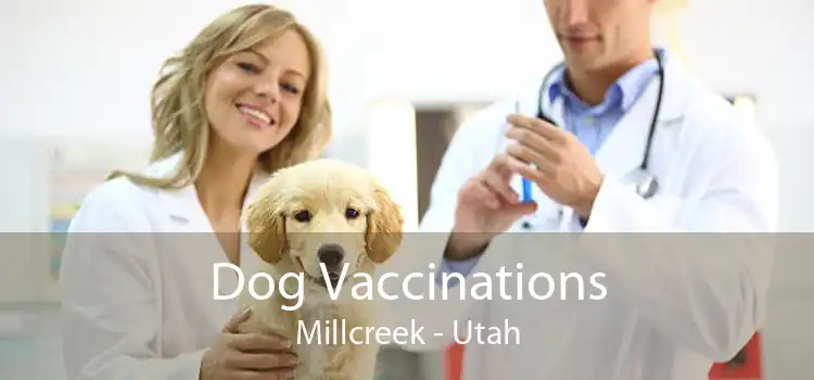 Dog Vaccinations Millcreek - Utah