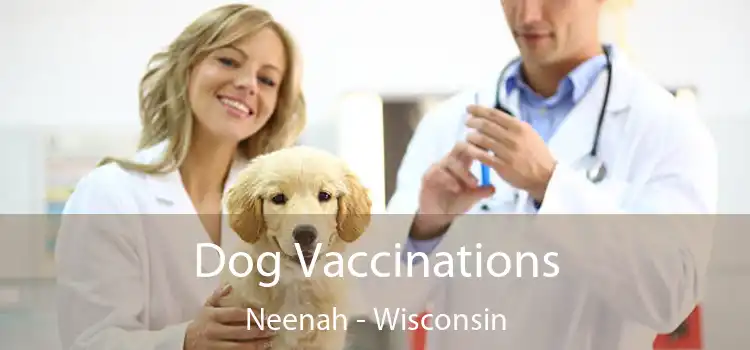 Dog Vaccinations Neenah - Wisconsin