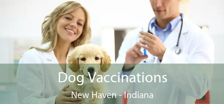 Dog Vaccinations New Haven - Indiana