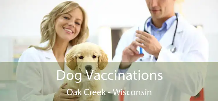 Dog Vaccinations Oak Creek - Wisconsin