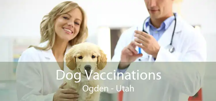 Dog Vaccinations Ogden - Utah