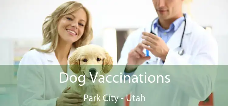 Dog Vaccinations Park City - Utah