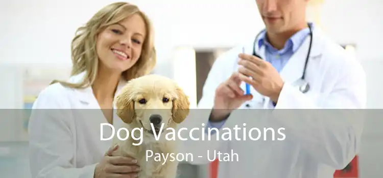 Dog Vaccinations Payson - Utah
