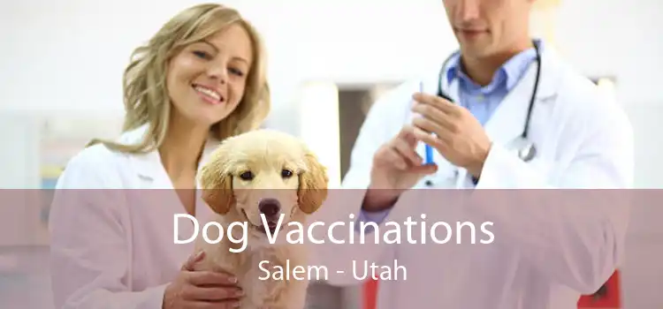 Dog Vaccinations Salem - Utah