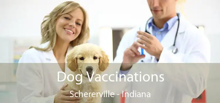 Dog Vaccinations Schererville - Indiana