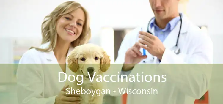 Dog Vaccinations Sheboygan - Wisconsin