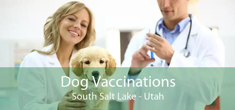 Dog Vaccinations South Salt Lake - Utah
