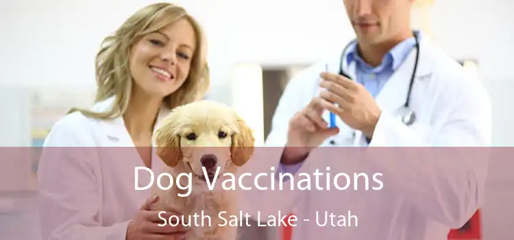 Dog Vaccinations South Salt Lake - Utah