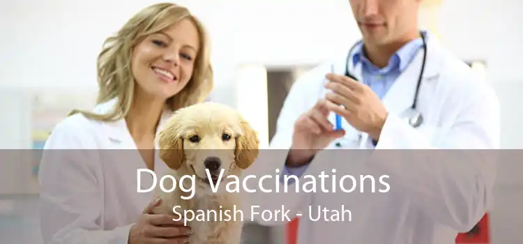 Dog Vaccinations Spanish Fork - Utah