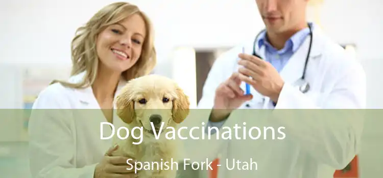 Dog Vaccinations Spanish Fork - Utah