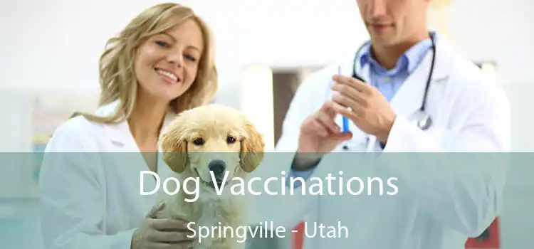 Dog Vaccinations Springville - Utah