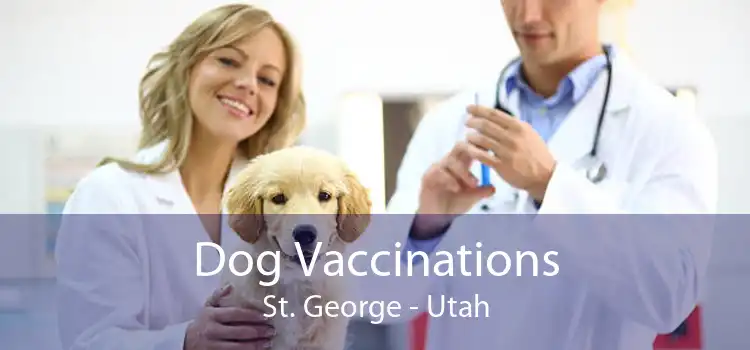 Dog Vaccinations St. George - Utah