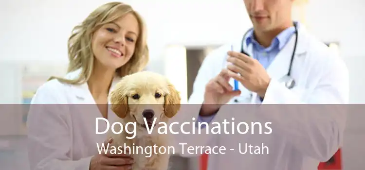 Dog Vaccinations Washington Terrace - Utah