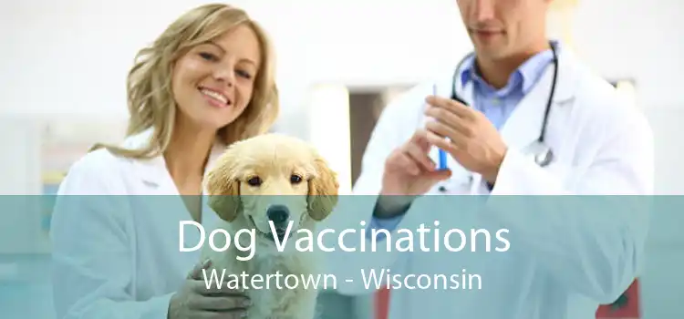 Dog Vaccinations Watertown - Wisconsin