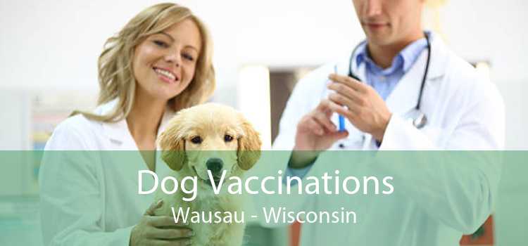 Dog Vaccinations Wausau - Wisconsin