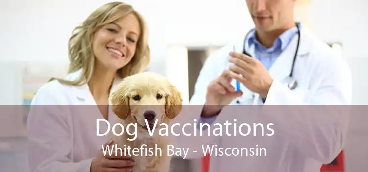 Dog Vaccinations Whitefish Bay - Wisconsin