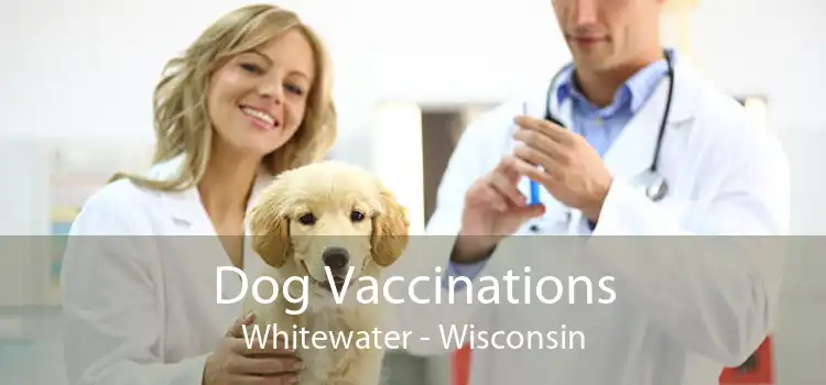 Dog Vaccinations Whitewater - Wisconsin