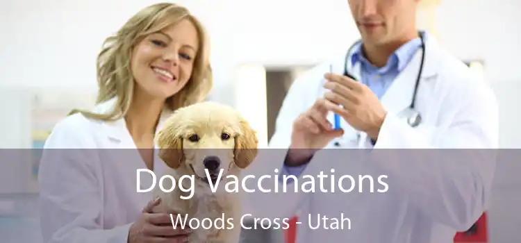 Dog Vaccinations Woods Cross - Utah