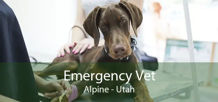 Emergency Vet Alpine - Utah
