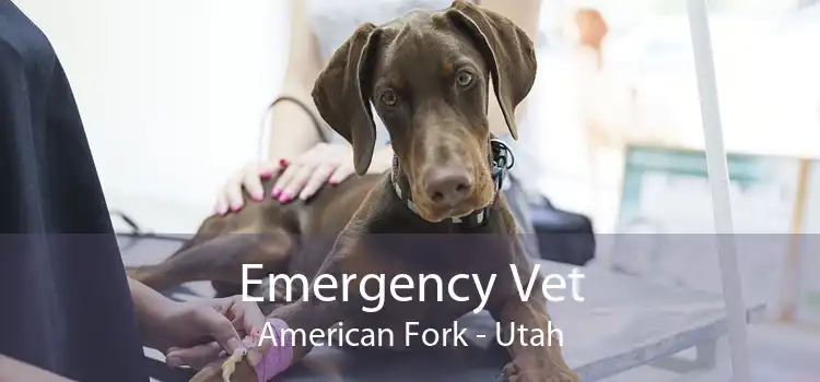 Emergency Vet American Fork - Utah