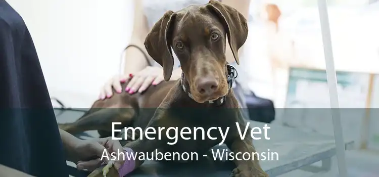 Emergency Vet Ashwaubenon - Wisconsin