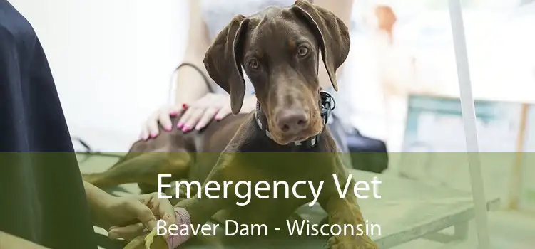 Emergency Vet Beaver Dam - Wisconsin