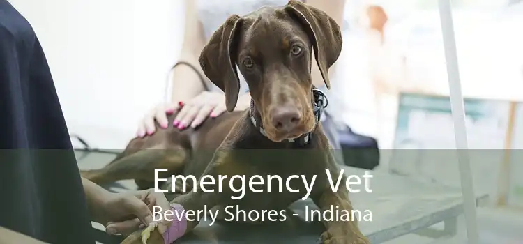 Emergency Vet Beverly Shores - Indiana