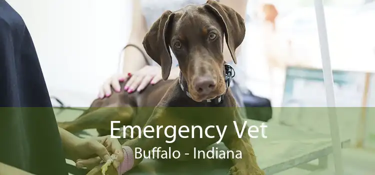 Emergency Vet Buffalo - Indiana