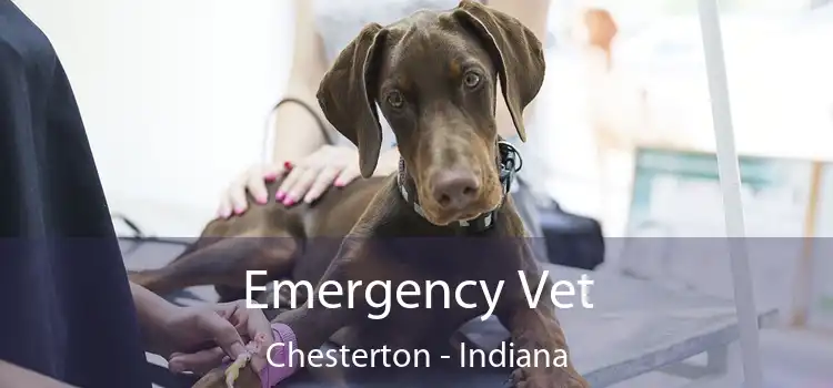 Emergency Vet Chesterton - Indiana